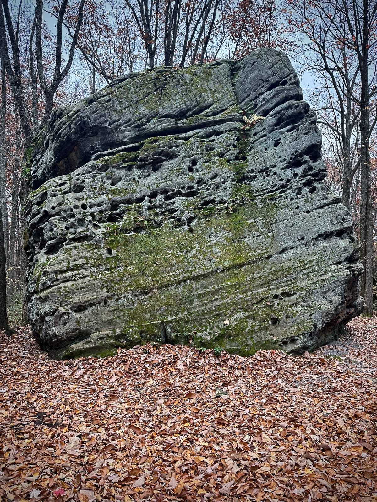 Be Erratic