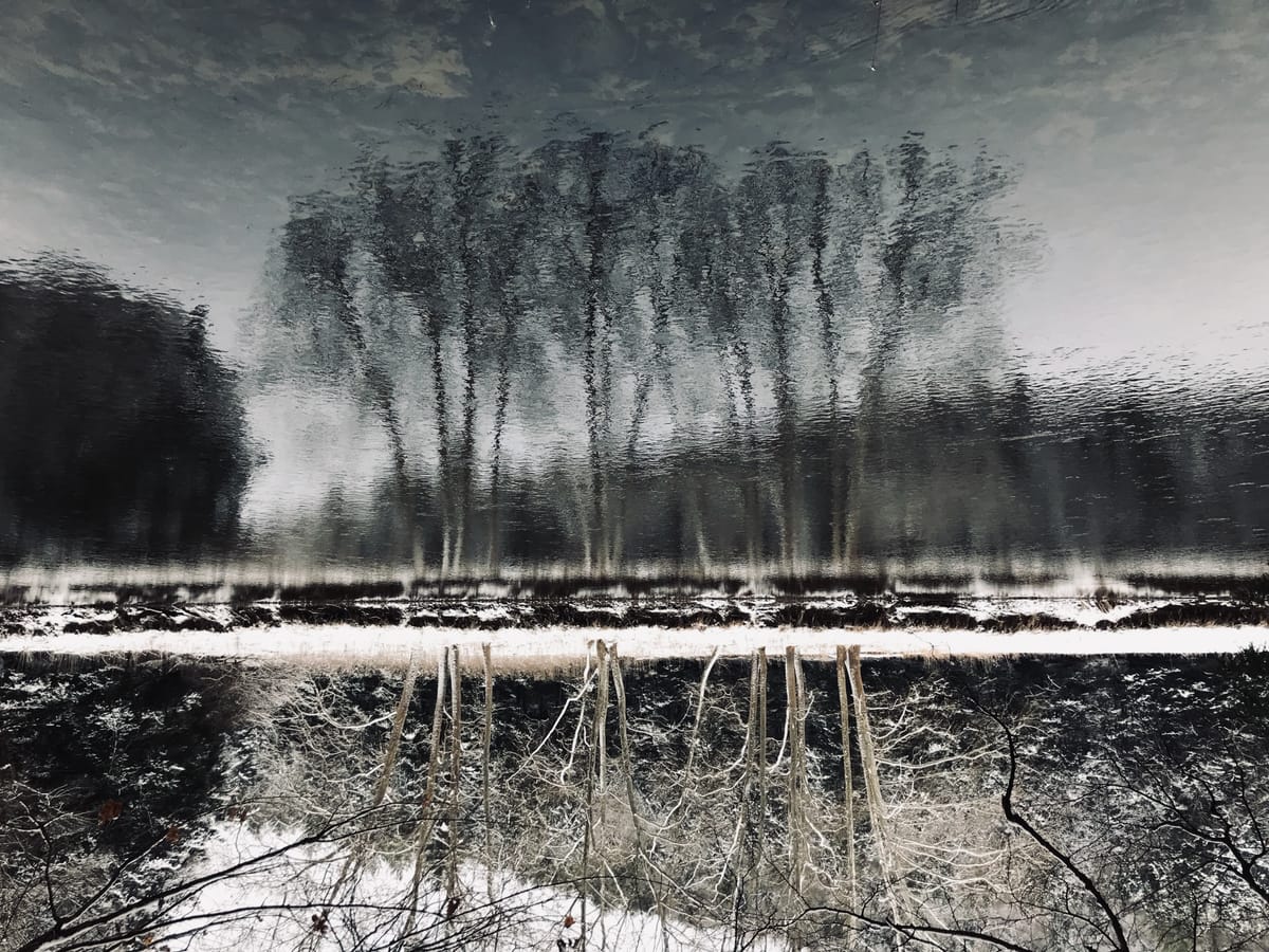 the capacity to be alone