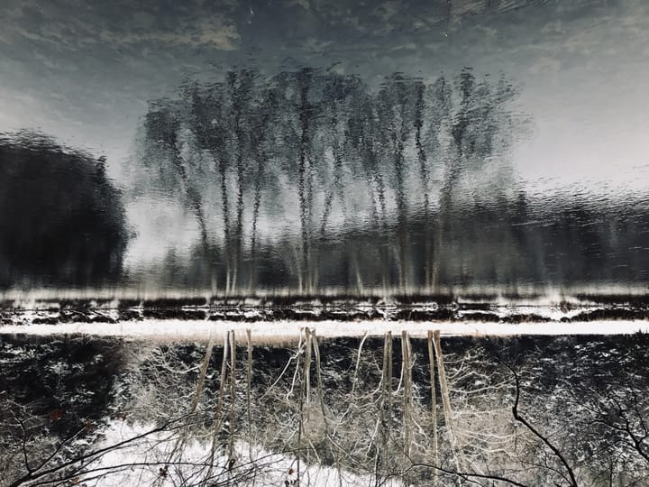 the capacity to be alone